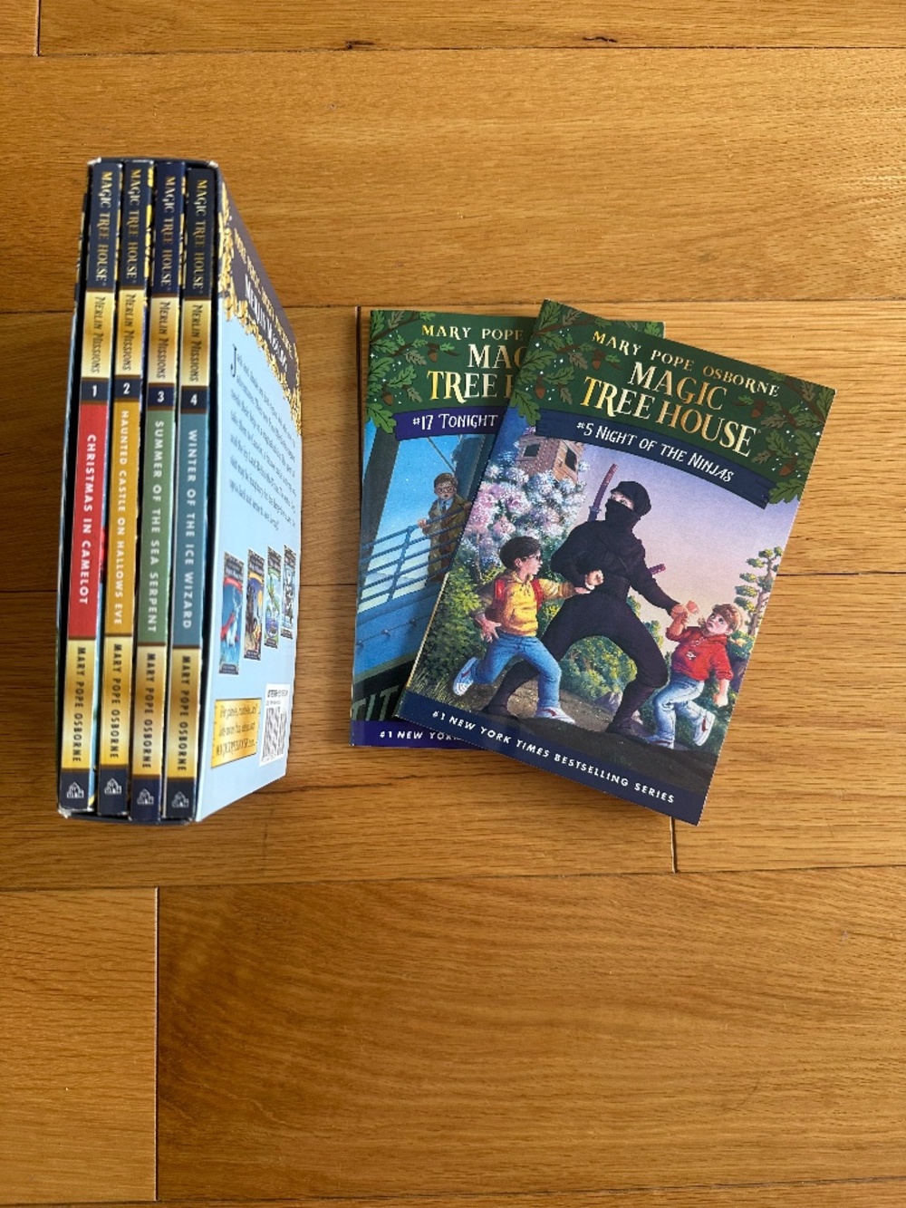 Magic Tree House Books Set